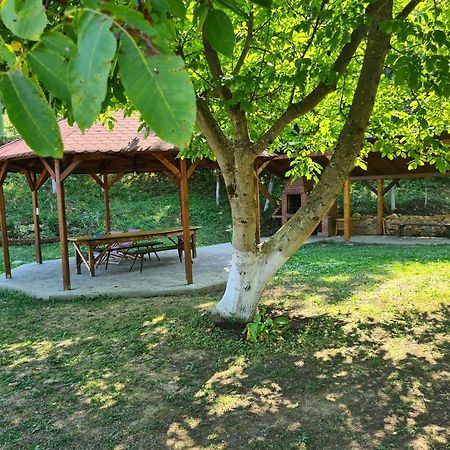Salas U Bregu In Cheile Carasului Crasova Exterior photo