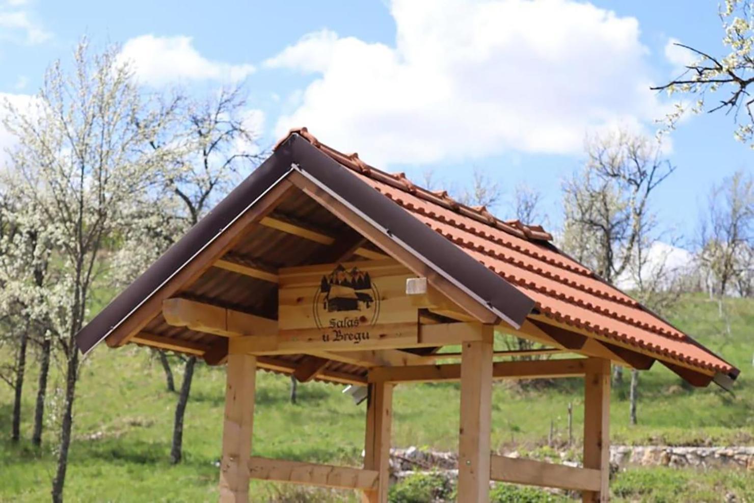 Salas U Bregu In Cheile Carasului Crasova Exterior photo