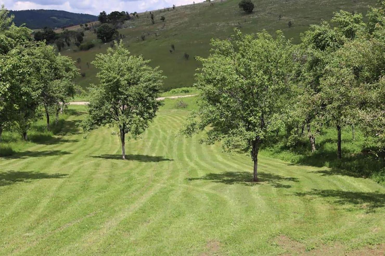 Salas U Bregu In Cheile Carasului Crasova Exterior photo